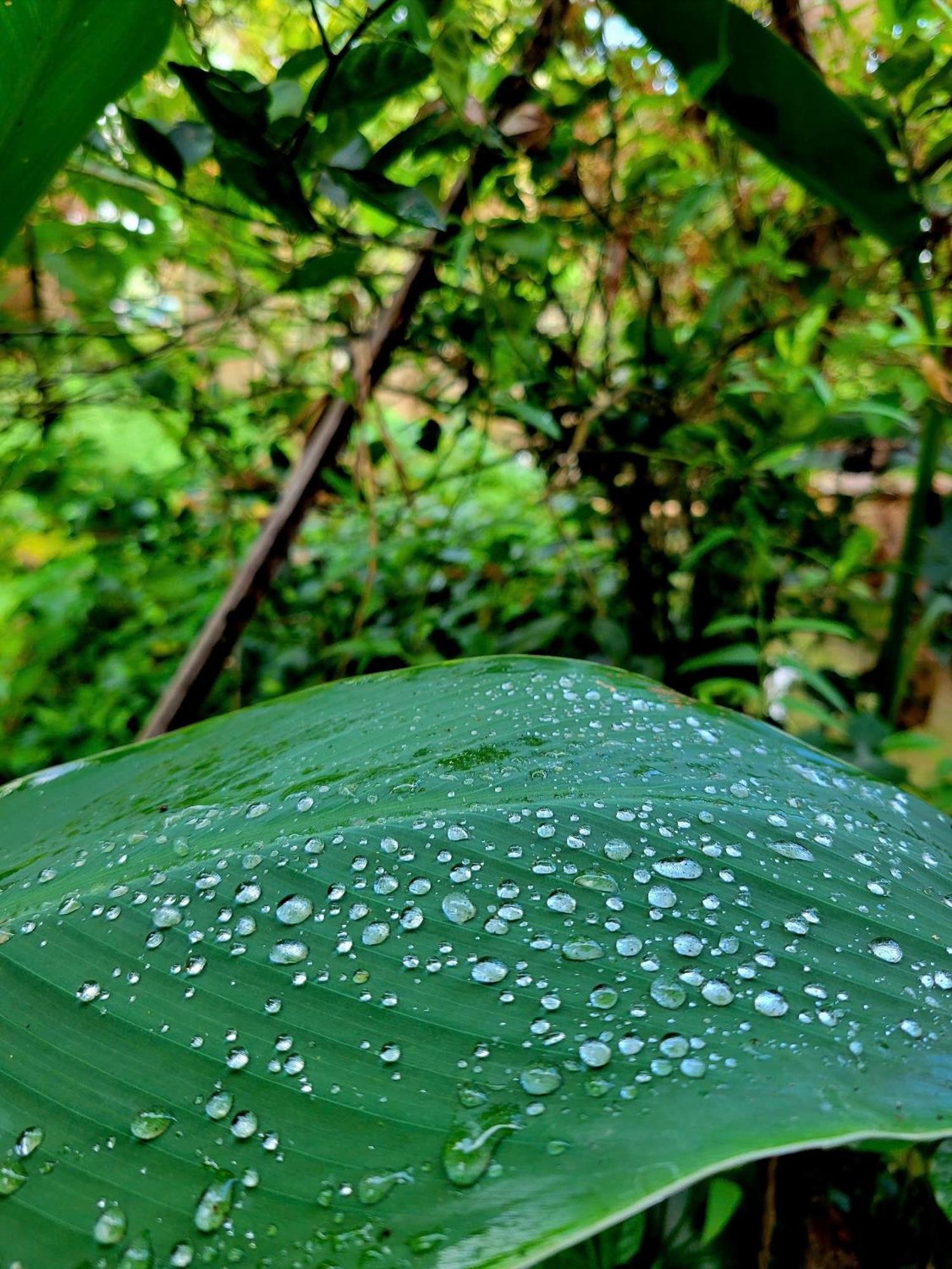Nong Trai Thanh Thoi Ben Tre Экстерьер фото